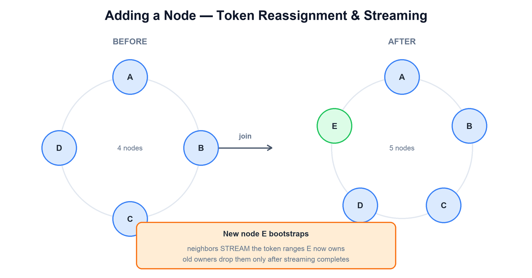 Adding a node