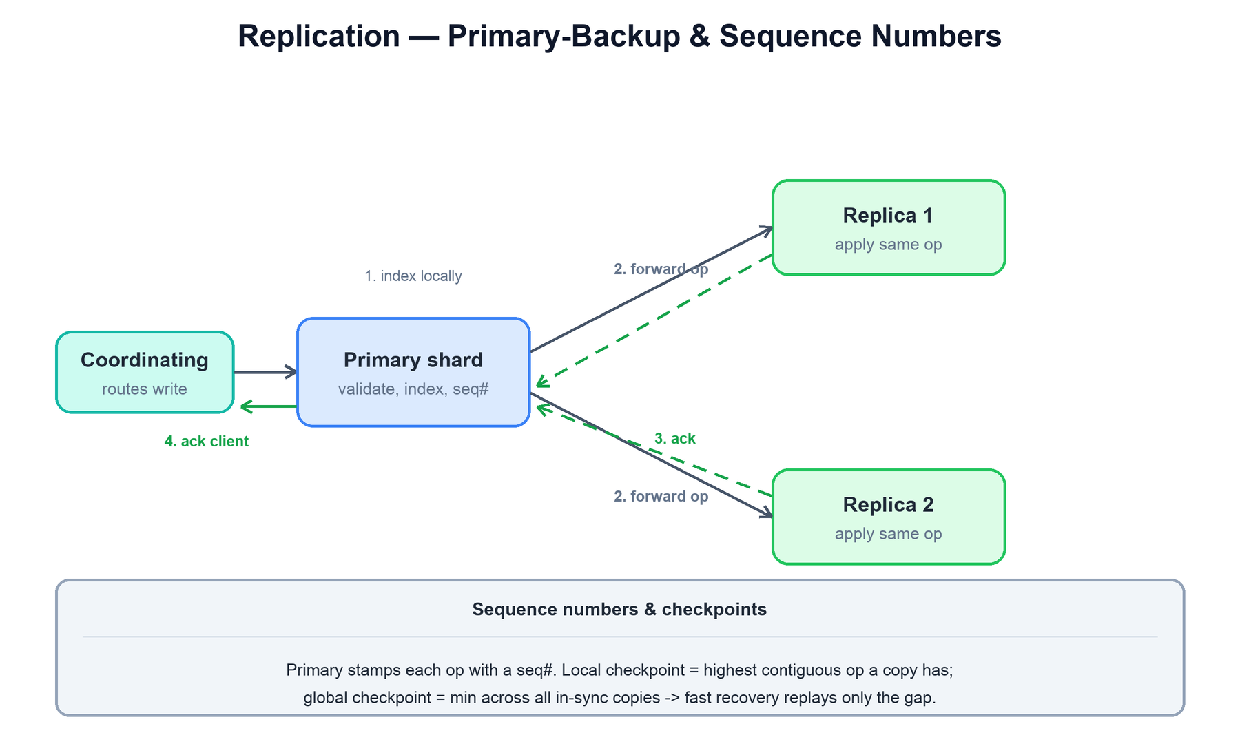 Replication model