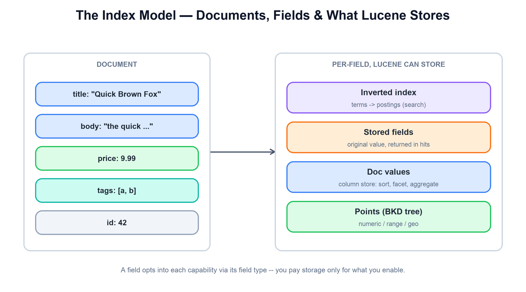 Lucene document and field model
