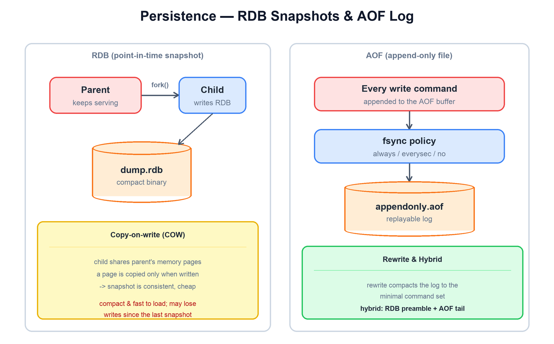 RDB and AOF persistence