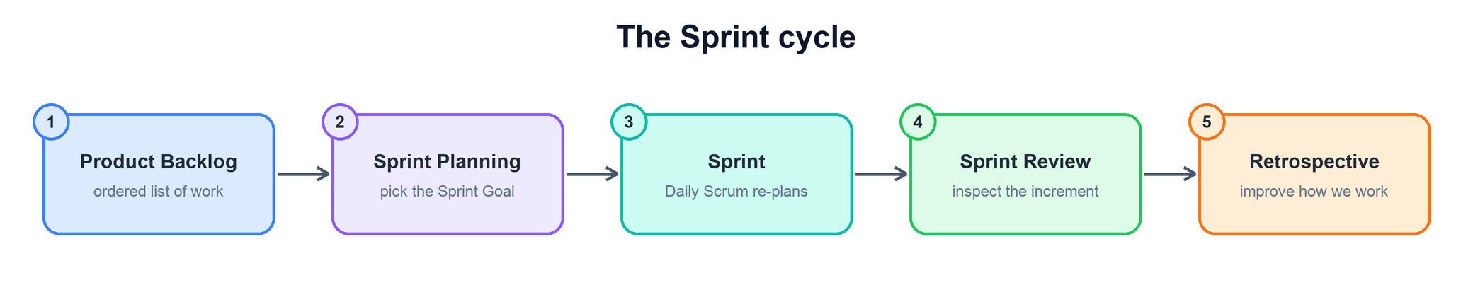 The Sprint cycle from backlog through planning, the Sprint, review, and retrospective